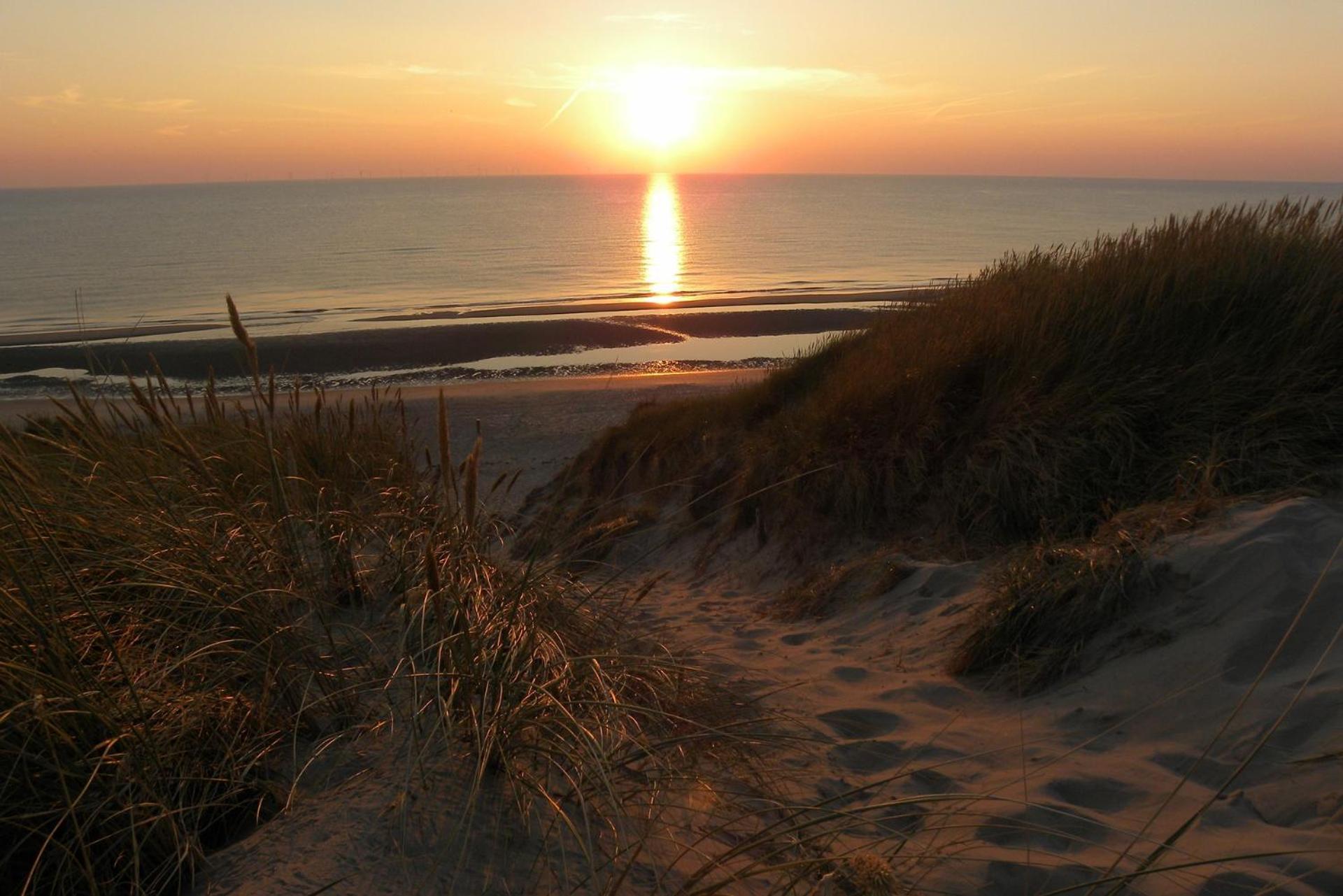 Ammophila 2 Apartment Egmond aan Zee Ngoại thất bức ảnh